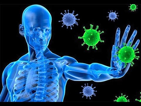 Immune System under attack - chronic inflammation, The Vitality Secret, The Vitality Code