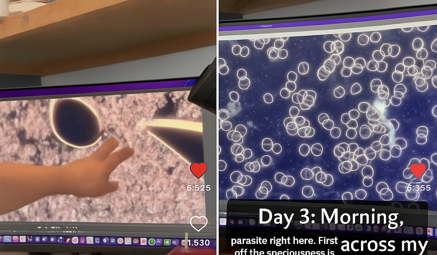 Screenshot 2025-11-08 at 2.17.45 p.m.