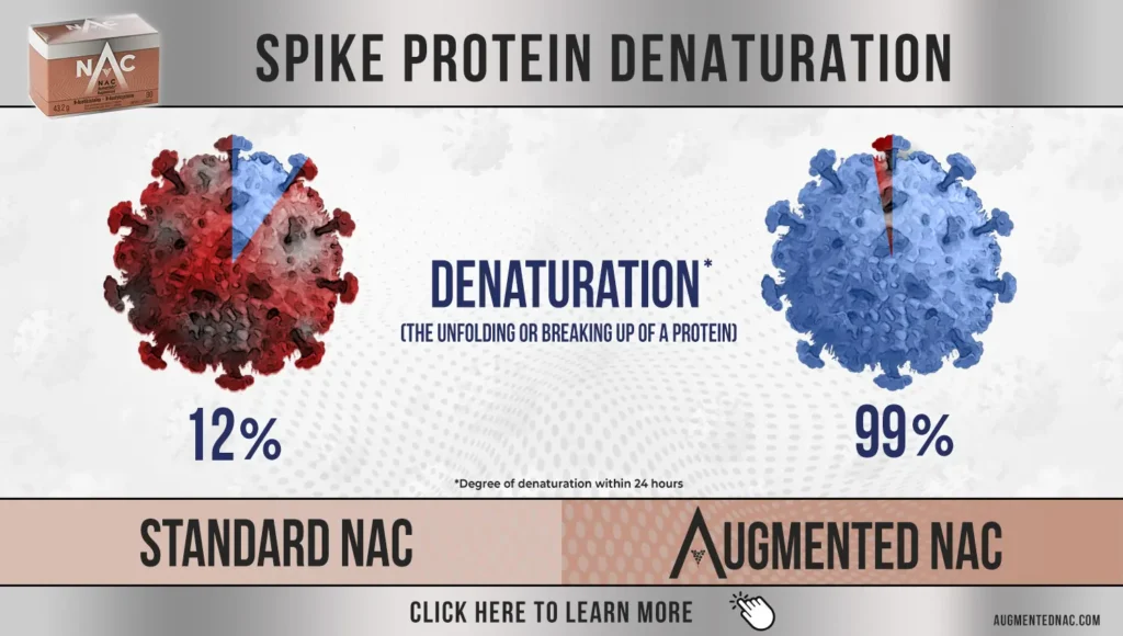Augmented NAC lab test — spike protein denaturation increases from 12% with standard NAC to 99% with Augmented NAC